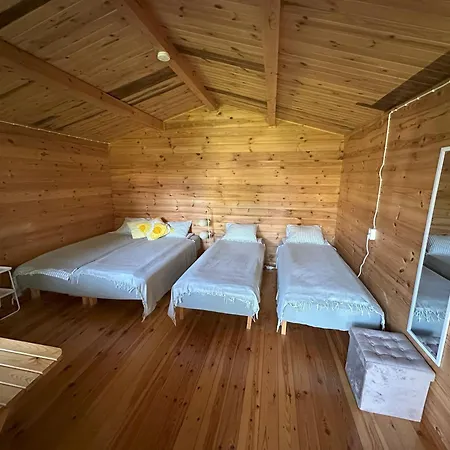 Karjamaa Garden Free Parking And Coffee Holiday home Parnu